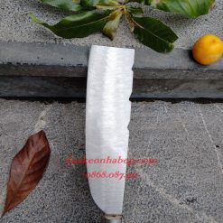 daokeonhabep.com 489